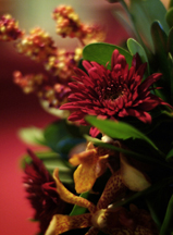Detroit Wedding Florist Detroit Wedding Florist